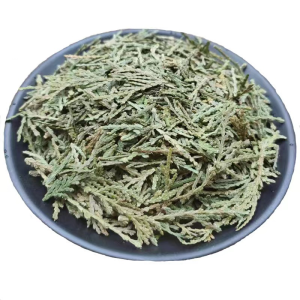 Natural Dry Herbs Cacumen Biotae Platycladus Orientalis