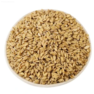 Natural Floating Wheat Fructus Tritici Levis Dried Herbal Tea Bulk Supply Chinese Herbal Raw Material