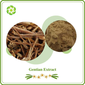 Natural Gentian Extract with 40% 90% 95% 98% Gentiopicroside for Supplement