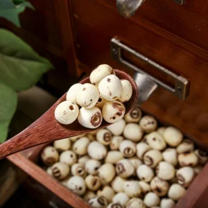 Natural Health Food Fried Lotus Seed for Traditional Chinese Medicine Lian Zi