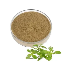 Natural Herb Oregano Leaf Powder 10:1 20:1 Oregano Extract