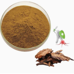 Natural Herb Plant Extract Cyrtomium Extract