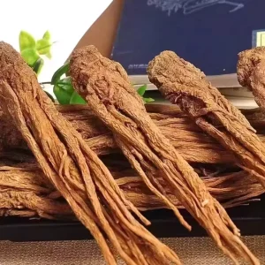 Natural Herbal Raw Angelica Sinensis Root Traditional Chinese Health Care Supplement Goods