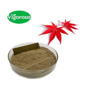 Natural High Quality Acer Palmatum Leaf Extract 10 1 Pure Maple Leaf Powder