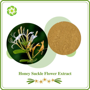 Natural Honey Suckle Flower Extract with 5% 25% 50% 98% Chlorogenic Acid for Supplement