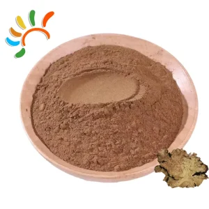 Natural Ligusticum Chuanxiong Powder No Additives Edible Raw Material 25kg Minimum Order
