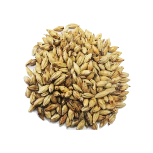 Natural Low Temperature Roasted Malted Barley Premium Ingredient for Brewing Beer Stew Drink Food Processing