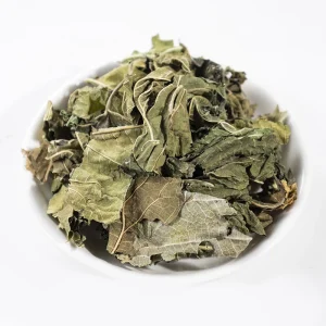 Natural Medicinal Herbs Chinese Herbal Medicine Dried Mulberry Leaf for Lung and Liver Health Care