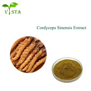 Natural Mushroom Cordyceps Sinensis Militaris Extract 30% Polysaccharides