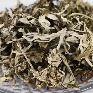 Natural No Sulfur Dried Artemisia Argyi Qichun Mugwort for Moxibustion