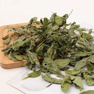 Natural Original 100% Pure Spearmint Bulk Herb Spice Dried Herbs for Flavor Tea