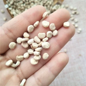 Natural Panax Ginseng Seeds for Planting