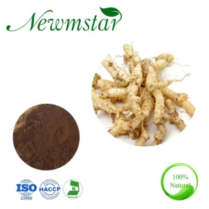 Natural Polygonatum Sibiricum 10 1 Solomonseal Rhizome Extract