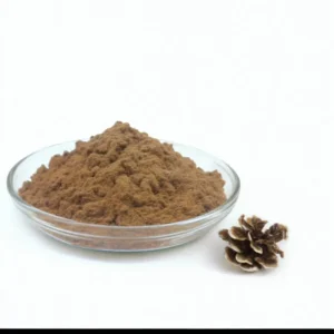 Natural Polysaccharide 10:1 Turkey Tail Mushroom Extract Turkey Tail Mushroom Powder Extract
