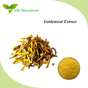 Natural Powder 97% Berberine Hydrochloride Coptis Chinensis Extract