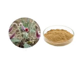 Natural Radix Rehmanniae Extract Digitalis Lanata Extract Chinese Fox glove Extract 20 1