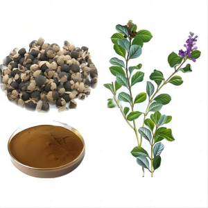 Natural Sage Extract 10:1 Sage Extract Powder