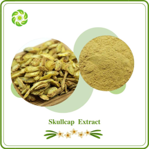 Natural Skullcap Extract with 30% 85% Baicalin 90% 95% 98% Baicalein for Supplement