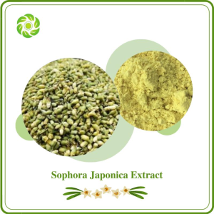 Natural Sophora Japonica Extract with 95% 98% Quercetin 95% 98% Quercetin Dihydrate 98% Ferulic Acid 95% 98% Rutin for Supplement