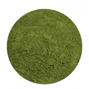 Natural Water-soluble Mint Spearmint Leaf Menthol Mint Extract Powder