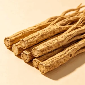 Natural Wild Harvested Dangshen Root Extract Chinese Herbal Medicine Bulk