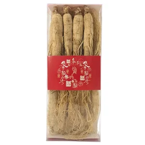 Natural Wild Panax Chinese Herbs Ginseng Root Chang Bai Shan Ginseng Whole Ginseng Root Plant
