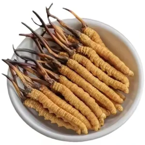 New Wild Cordyceps Sinensis Herb Supply with Cordyceps Supllement Hong Kong Yarsagumba Cordyceps Sinensis