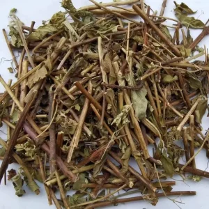 Niu Zhi Oregano Grass Dry Herbs High Quality Chinese Herbal Plants Pizza Grass for Diet Seasoning Oregano Dried Grass
