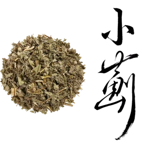 No Additives Good Reputation Cirsii Herba Small Thistle For Traditional Health Preservation Customizable