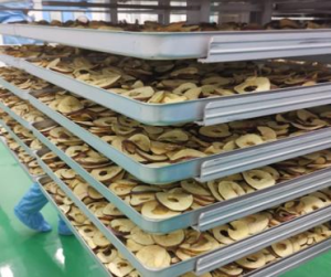 No Sugar Added Freeze Dried Apple Chips Naturally Sweet Crunchy & Healthy Snack