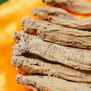 Nutritious Dry Herbal Plant Codonopsis Root Dangshen Ancient Chinese Medical Material For Daily Health Preservation