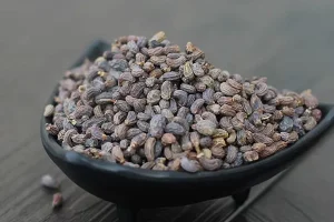 Nv Zhen Zi Ligustrum lucidum Fruit Round Herbal Seeds Health Plants Chinese Herbs Dry Nv Zhen Zi for Diet Spices Herbs