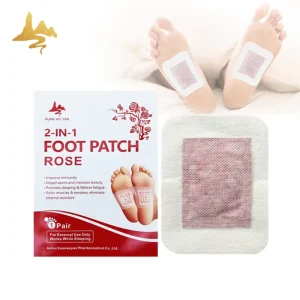 OEM Detox Foot Pads 2-in-1 Comfort and Wellness Designed Chinese Healthcare Supply for Relaxation