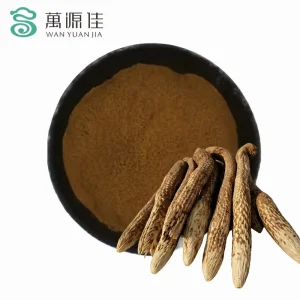 OEM Label Cistanche Tubulosa Supplement 10 1 Concentrated Herbal Powder Custom Formula Cistanche Extract for Cognitive