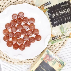 OEM ODM Chinese Style Throat Moist Candy Mint Flavor Hard Candy Loquat Pear Throat Protector Bulk