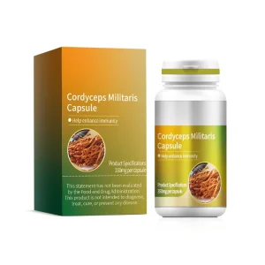OEM Private Label Cordyceps Militaris Capsules 350mg Immune Supplement