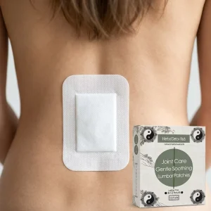 OEM Private Label Natural Chinese Herbal Lumbar Spine Patch Mugwort Moxa Ginger Lower Back Pain Relief Soothing Pads Sticker