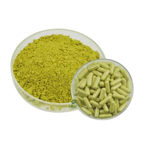 OEM Private Label Supplement Sophora Japonica Extract 98% Quercetin Capsules
