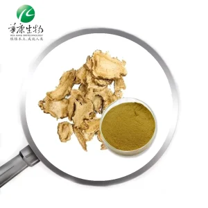 Organic Angelica Powder Chinese Angelica Extract for Immunity Improvement