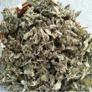 Organic Chinese Herb Leaves Dried Mugwort Leaf for Foot Bath