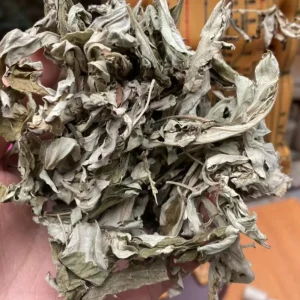 Organic Chinese Herbal Product Ai Ye Mugwort Leaves Folium Artemisiae Argyi for Health