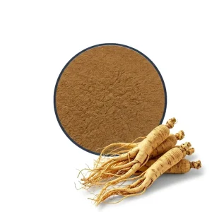 Organic Chinese Wild Red Ginseng Extract Powder Water Extraction Food Grade Ginsenoside 20% For Immune Support 1kg