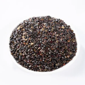 Organic Dried Japanese Raisin Tree Seed Traditional Chinese Medicine for Natural Decanting and Natural Stomach Health