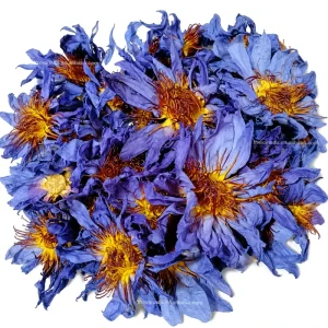 Organic EU Grade Clean Lotus Sacred Herbs Egyptian Nymphaea Caerulea Dried Blue Water Lily Smoking Tea