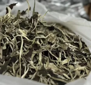 Organic EU Standard White Peony White Tea Pure Natural Fresh White Tea