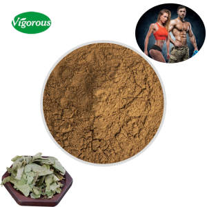 Organic Epimedium Extract Epimedium Brevicornum Icariin Powder