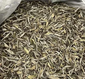 Organic Healthy Fuding Aged White Tea