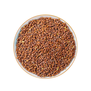 Organic Lai Fu Zi Raphani Semen Chinese Traditional Herb Dried Fried Herbal Medicine