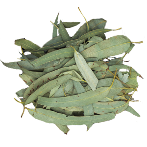 Organic Quality 100% Natural Dried Herb and Spices Leaves Eucalyptus Leaf