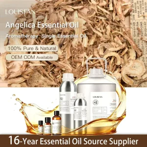 Organic Supercritical Pure Herbal Aromatherapy Skincare Single Raw Material China Angelica Essential Oil